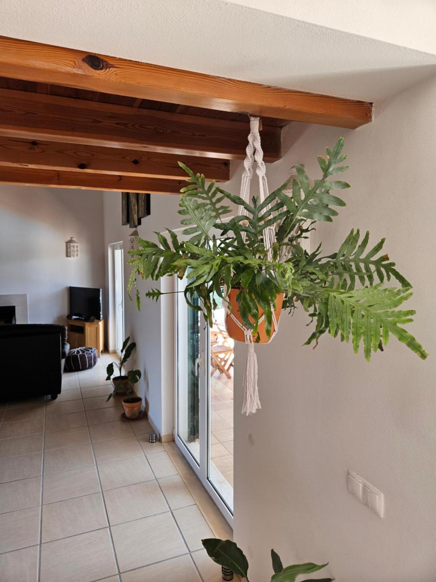Casa Delbon Guest House Aljezur Extérieur photo